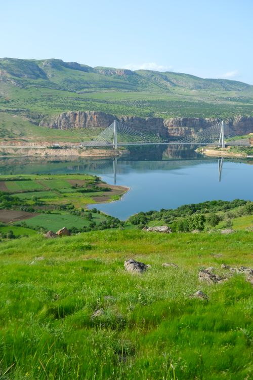 Free A picturesque view of lush hills and a cable-stayed bridge reflecting in a calm lake. Stock Photo