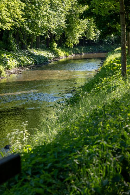 Free Tranquil river flowing through a verdant landscape, surrounded by lush greenery, epitomizing summer serenity. Stock Photo
