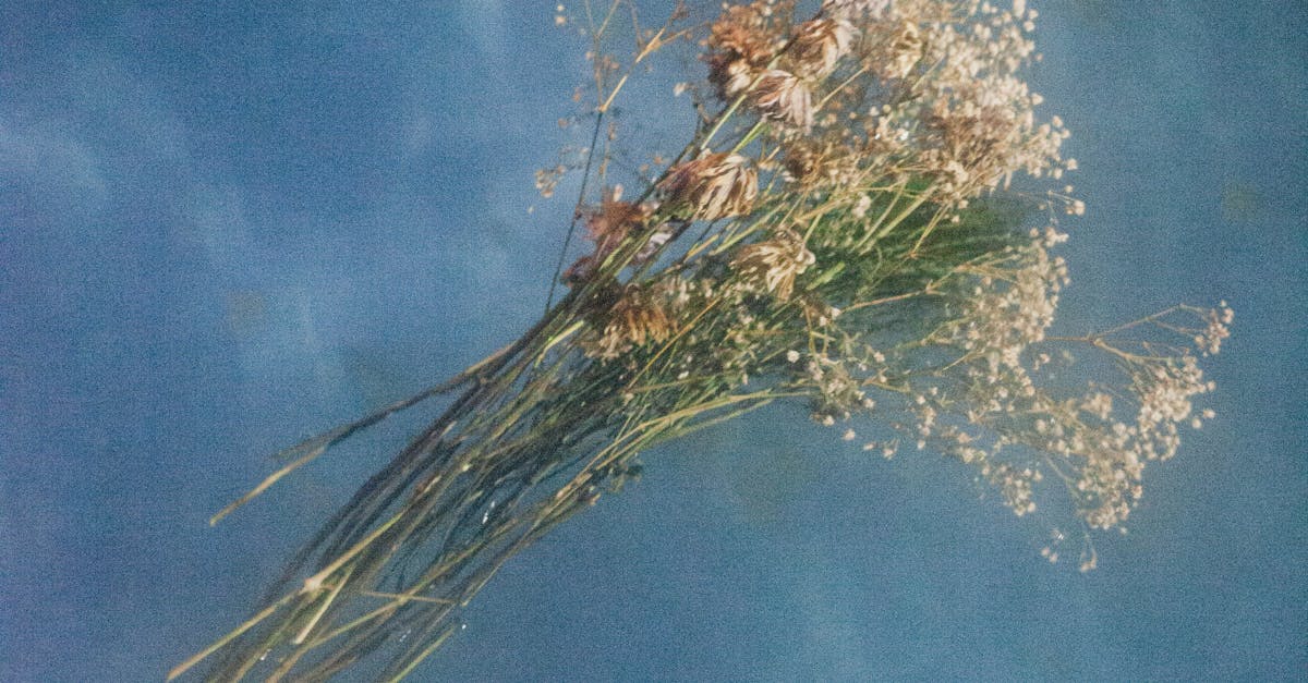 因應國際龍舟賽,台南環保局日夜監測守護運河水質