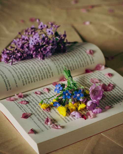 Free An open book adorned with colorful flowers and petals evokes a sense of tranquility and nostalgia. Stock Photo