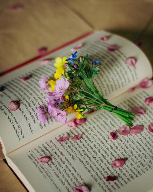 Free A bouquet of wildflowers resting on an open book with scattered petals, evoking vintage tranquility. Stock Photo