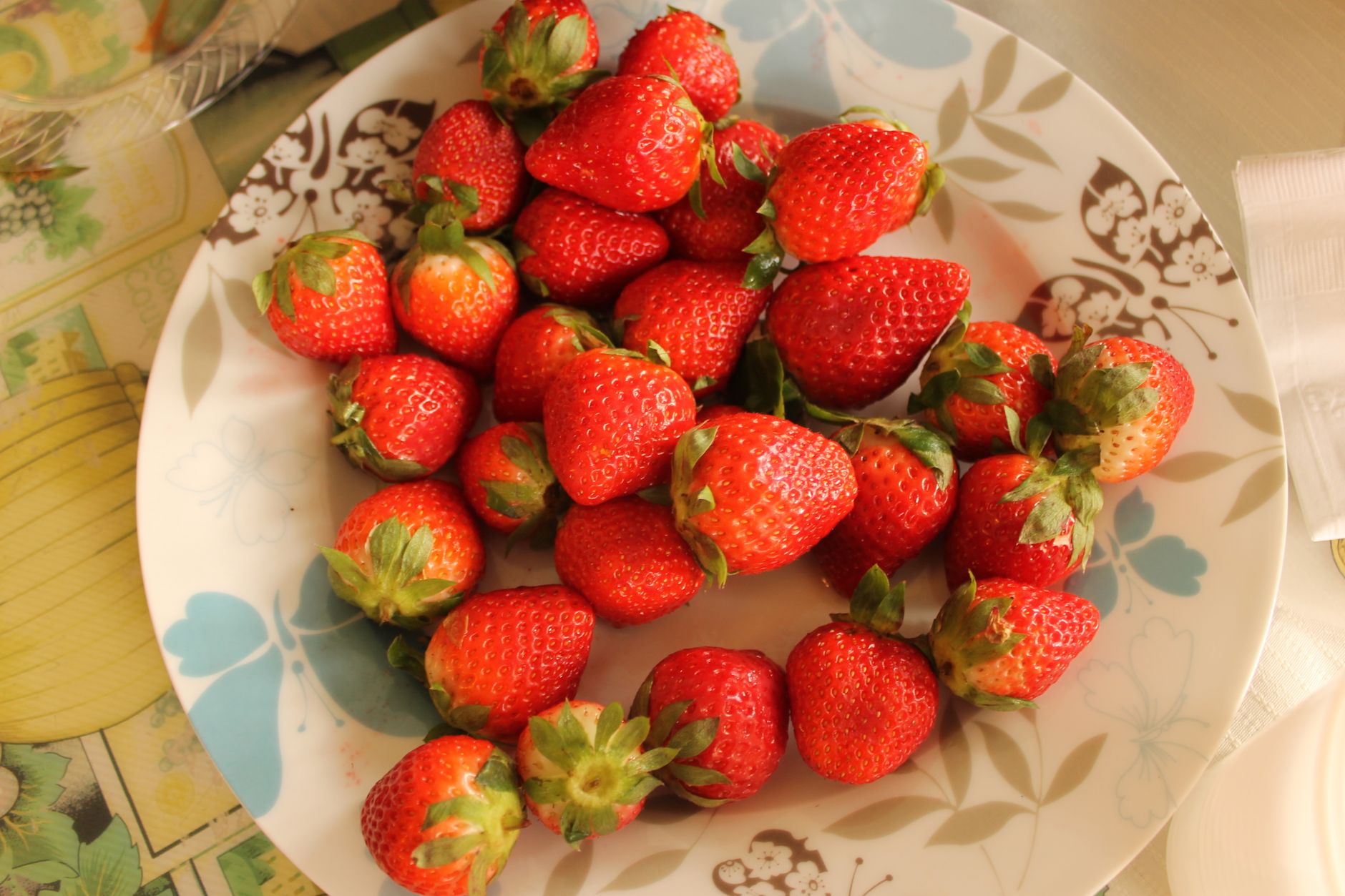 strawberry photograph for this story
