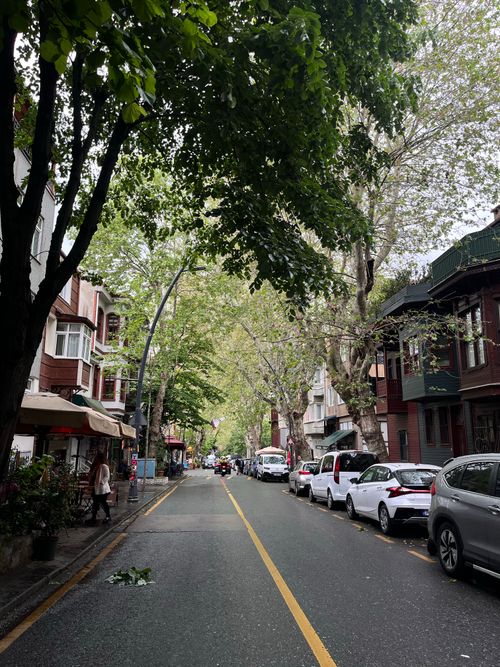 Free Charming urban street with trees and parked cars on a spring day. Stock Photo