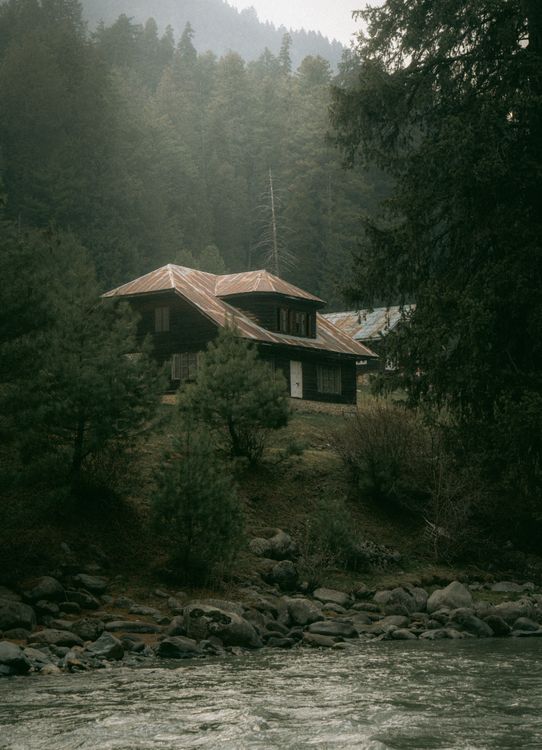 Rustic Cabin in Misty Forest Landscape · Free Stock Photo