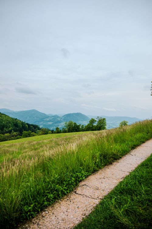 Free Explore the serene Alpine landscape with lush fields and distant mountains at sunset. Stock Photo