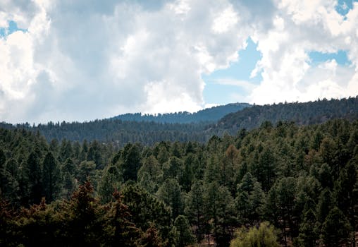 Beautiful view of green forested hills under a partly cloudy blue sky in Ruidoso, New Mexico.