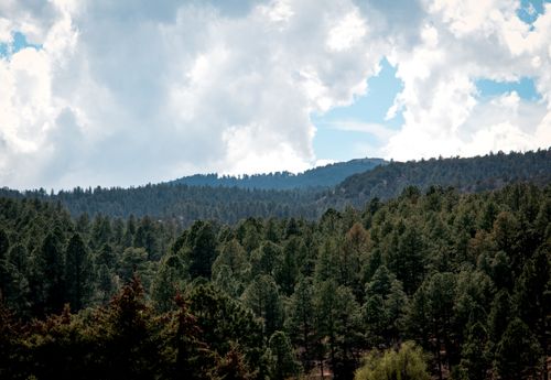 Free Beautiful view of green forested hills under a partly cloudy blue sky in Ruidoso, New Mexico. Stock Photo