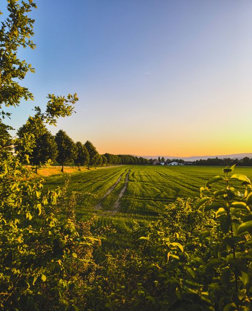 Free Breathtaking sunset view over a lush green field in Holzminden, Germany, framed by trees. Stock Photo
