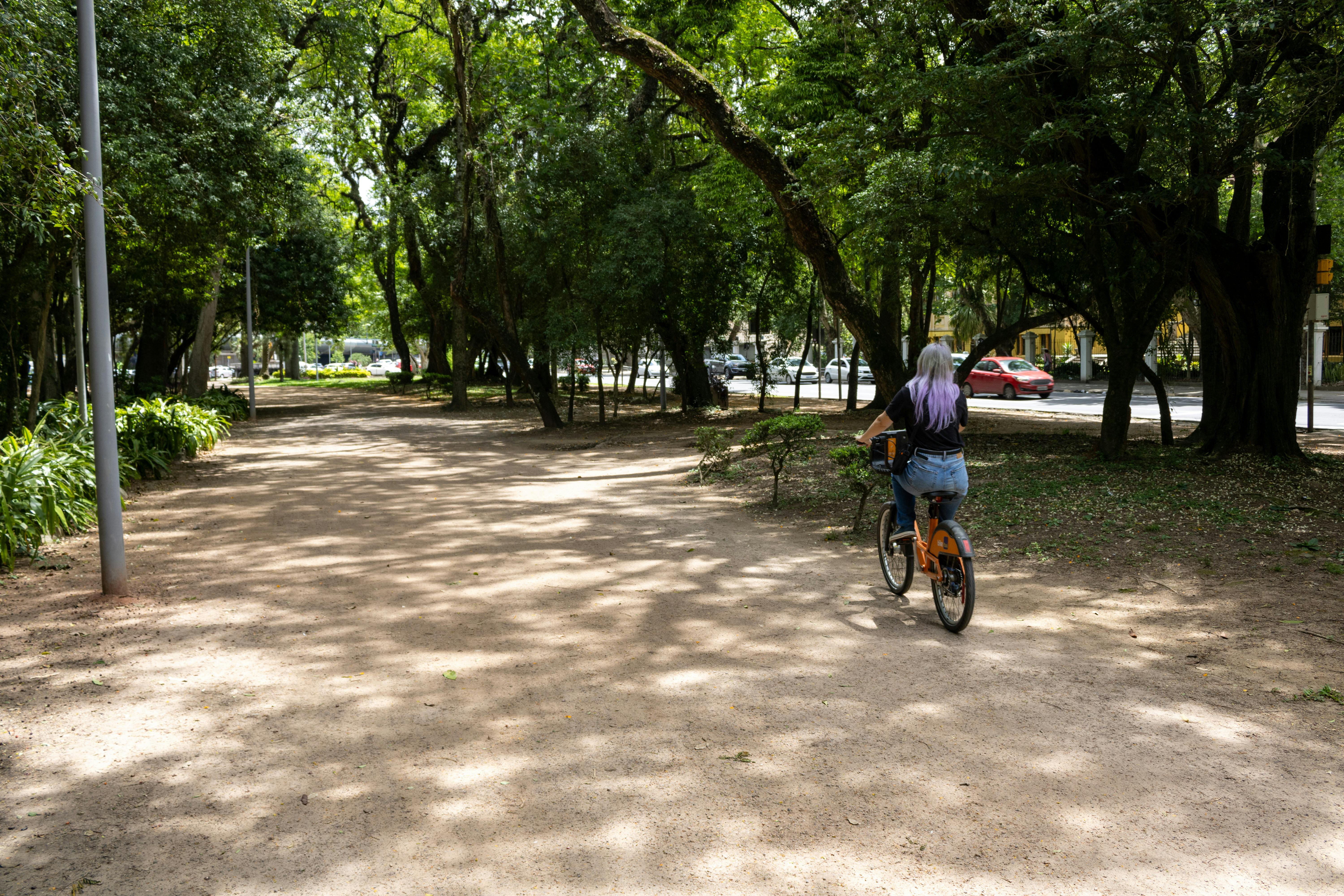 Безкоштовне стокове фото на тему «активний, активний спосіб життя, активність у вихідні дні» стокове фото