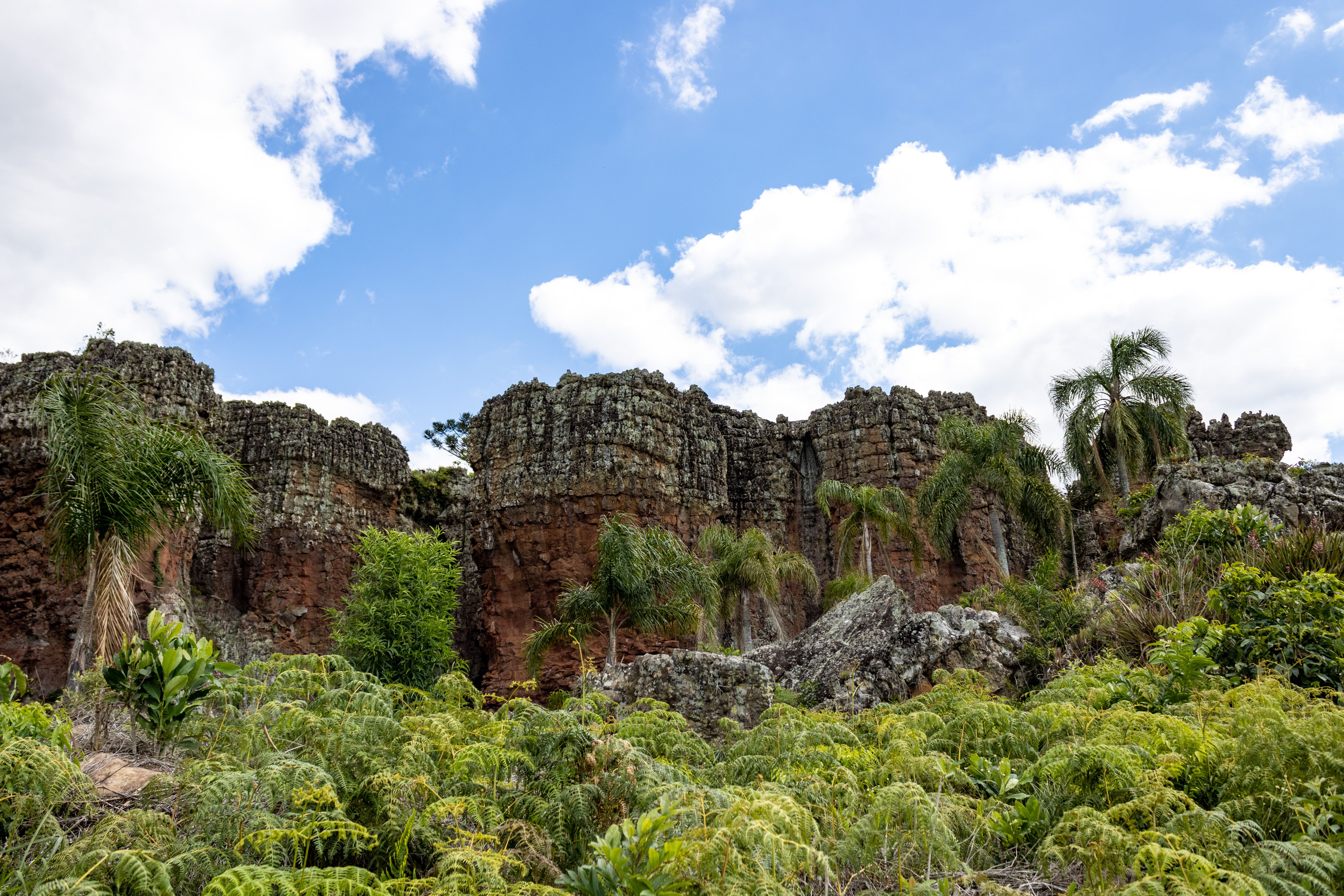 Incredible 6-Day Guided Kayak Expedition in the Amazon Review: Paddle Through Untouched Rainforest Review 2026 - Majestic red rock formations surrounded by lush greenery under a bright blue sky.