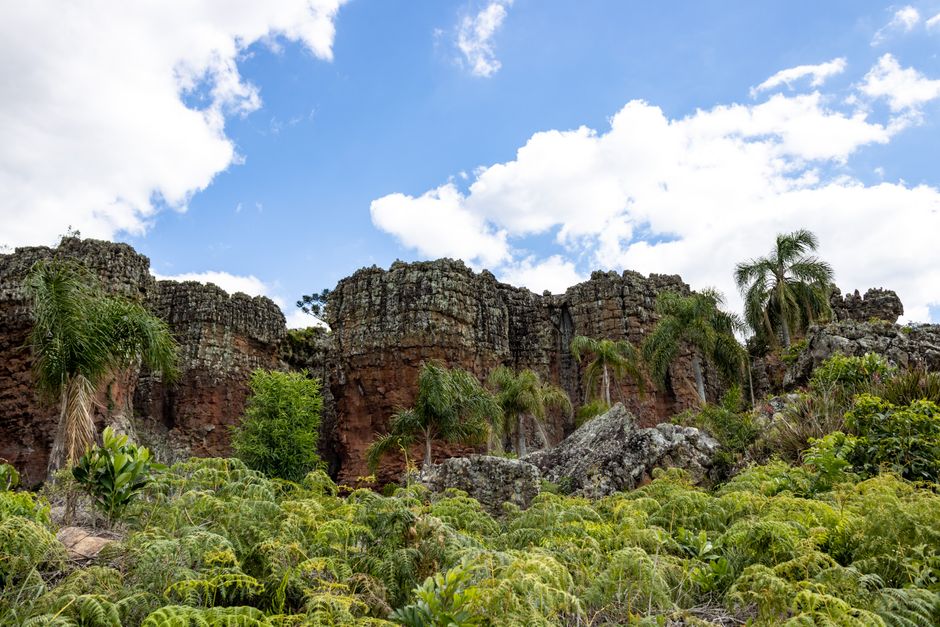 Incredible 6-Day Guided Kayak Expedition in the Amazon Review: Paddle Through Untouched Rainforest Review 2026 - Majestic red rock formations surrounded by lush greenery under a bright blue sky.