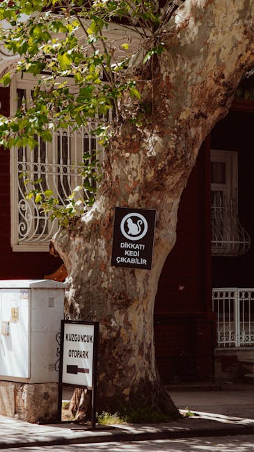 Dominate Local Search: SEO for Tree & Shrub Trimming/Removal Services SEO Strategy