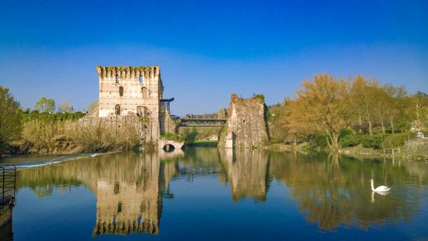 Ancient castle ruins reflecting on a serene lake with a lone swan, under a clear blue sky.