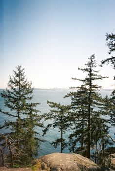 Tranquil scene with forest overlooking Vancouver skyline across the ocean.