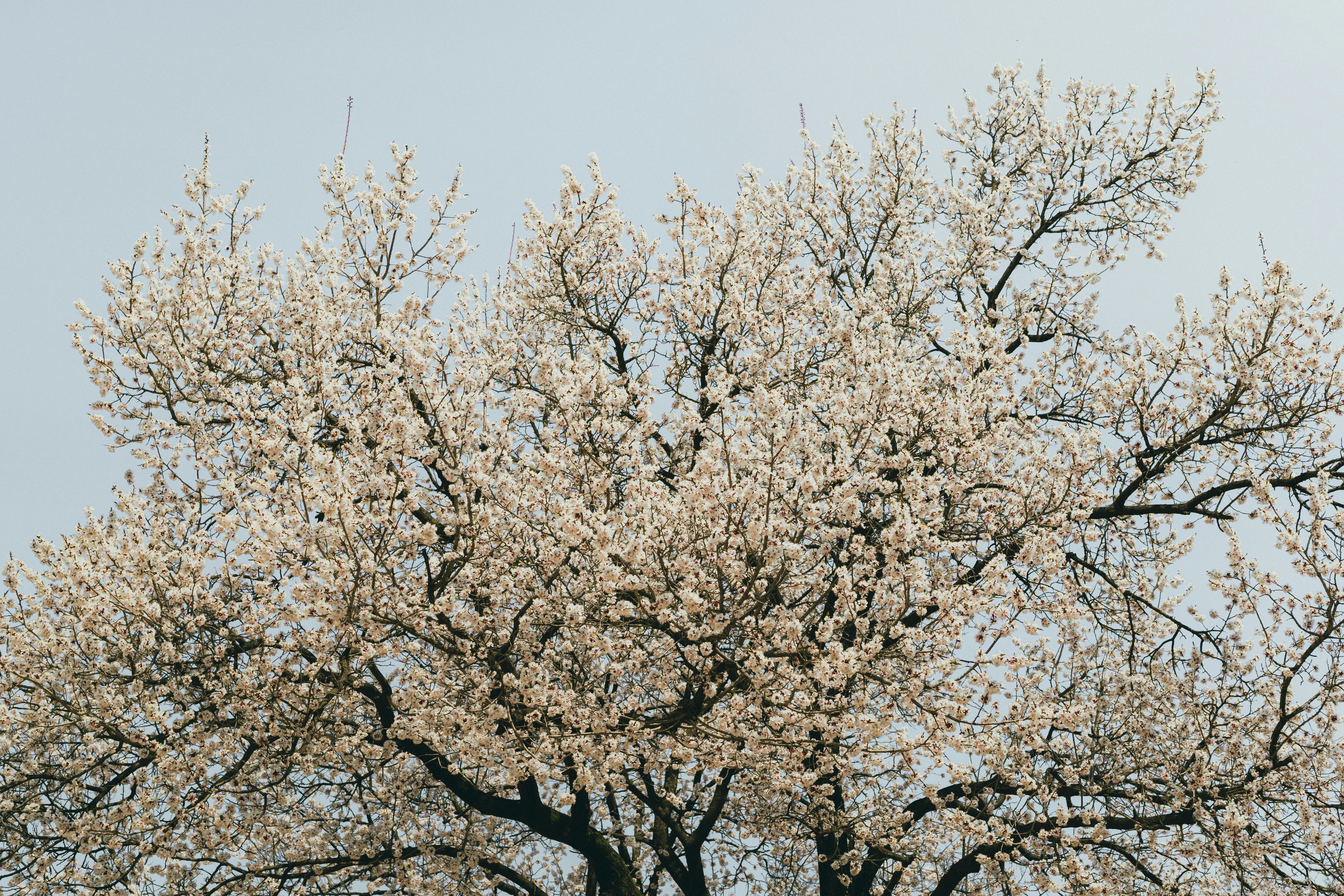 الفرع والمستودع