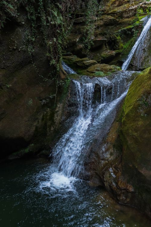Free Tranquil waterfall cascading over mossy rocks in a verdant forest environment. Stock Photo