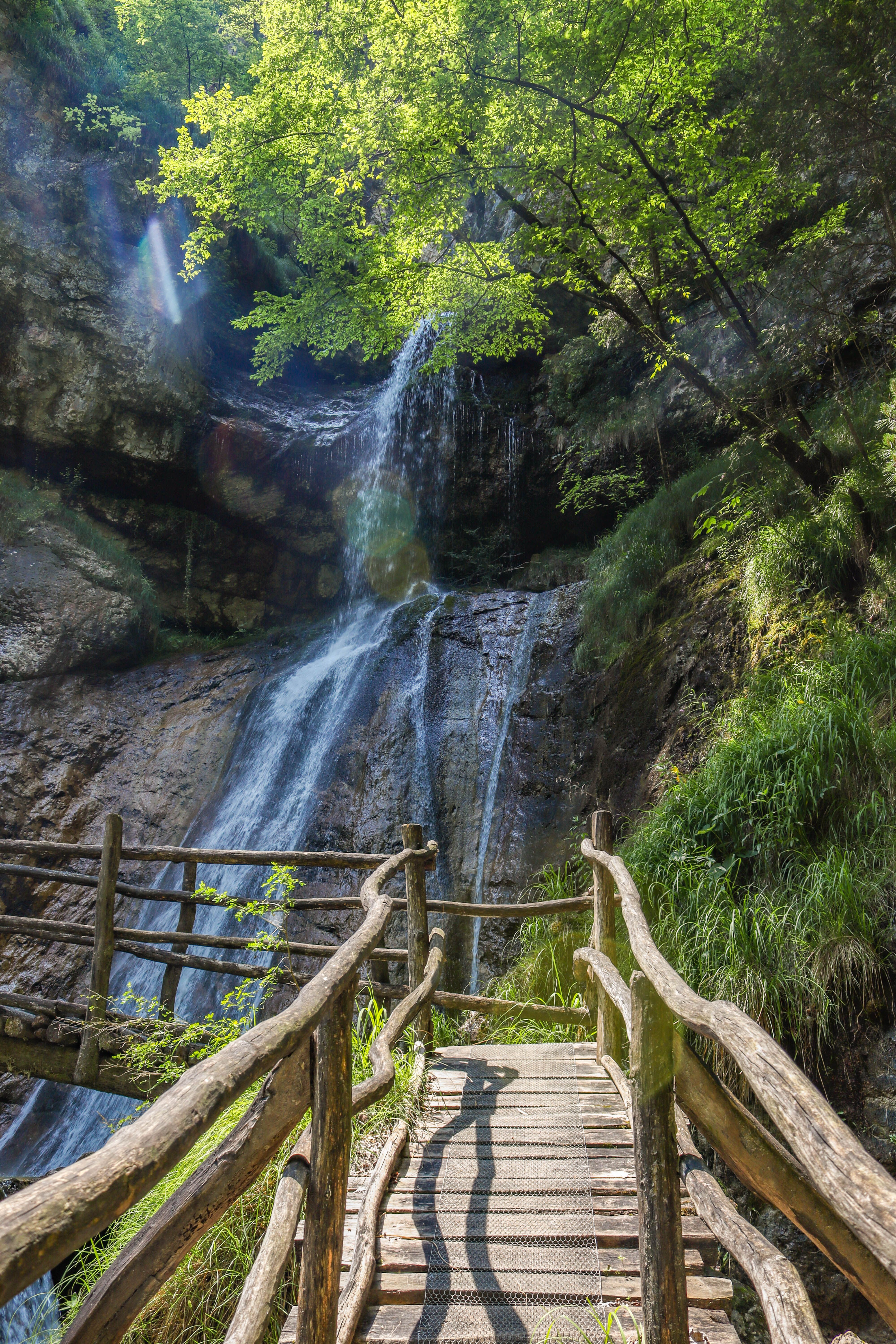 Idyllic Wooden Pathway to a Serene Waterfall · Free Stock Photo
