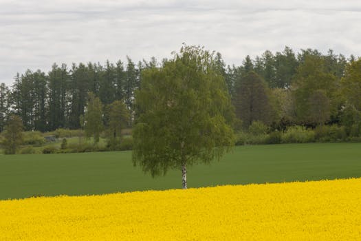 Nonton: Namkoong Min dan Jeon Yeo Been Mulai Kisah Cinta yang Tak Sabar Menunggu Besok di Teaser untuk "Our Movie" - jeon 3