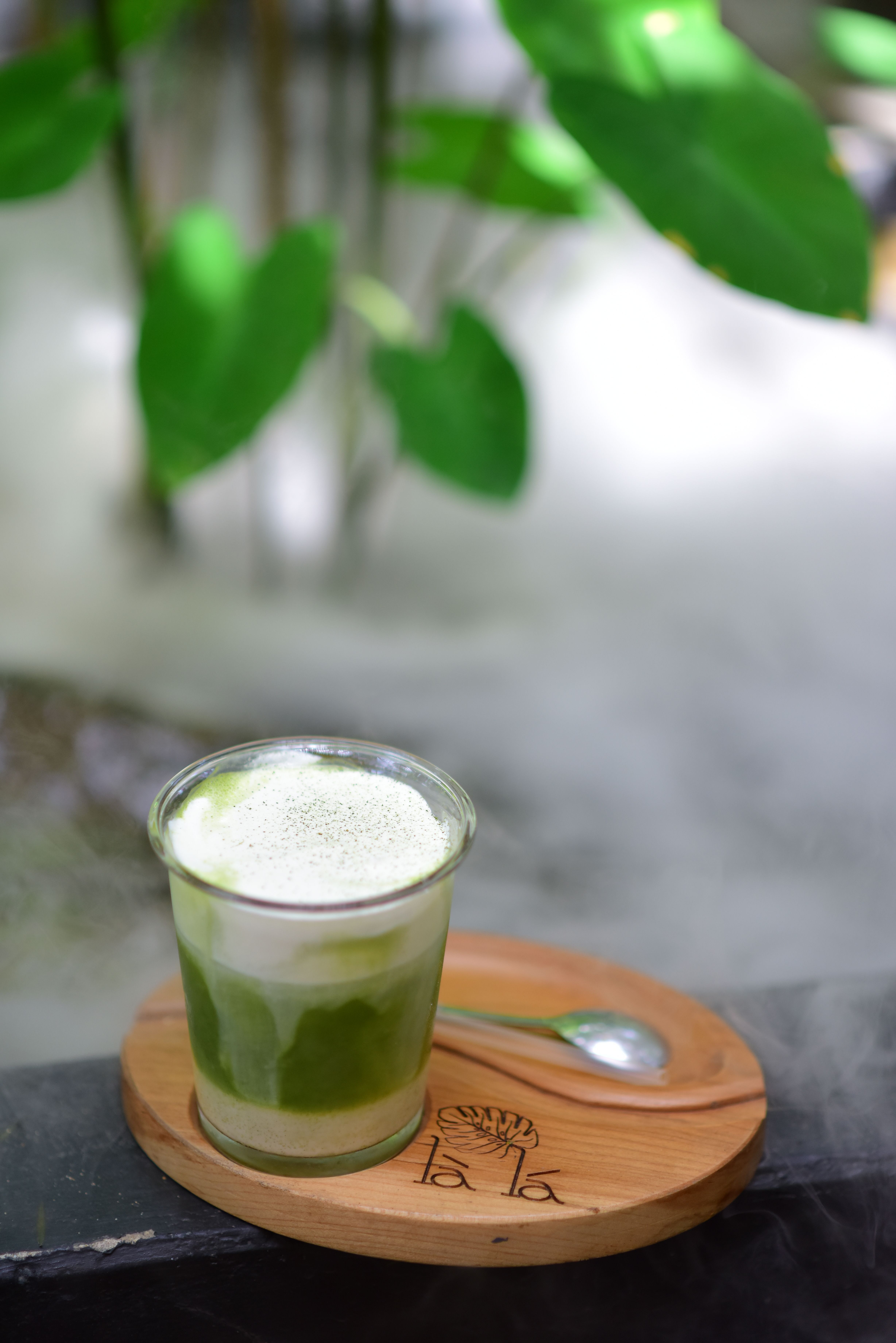 Essential Features That Elevate Your Smoothie Experience