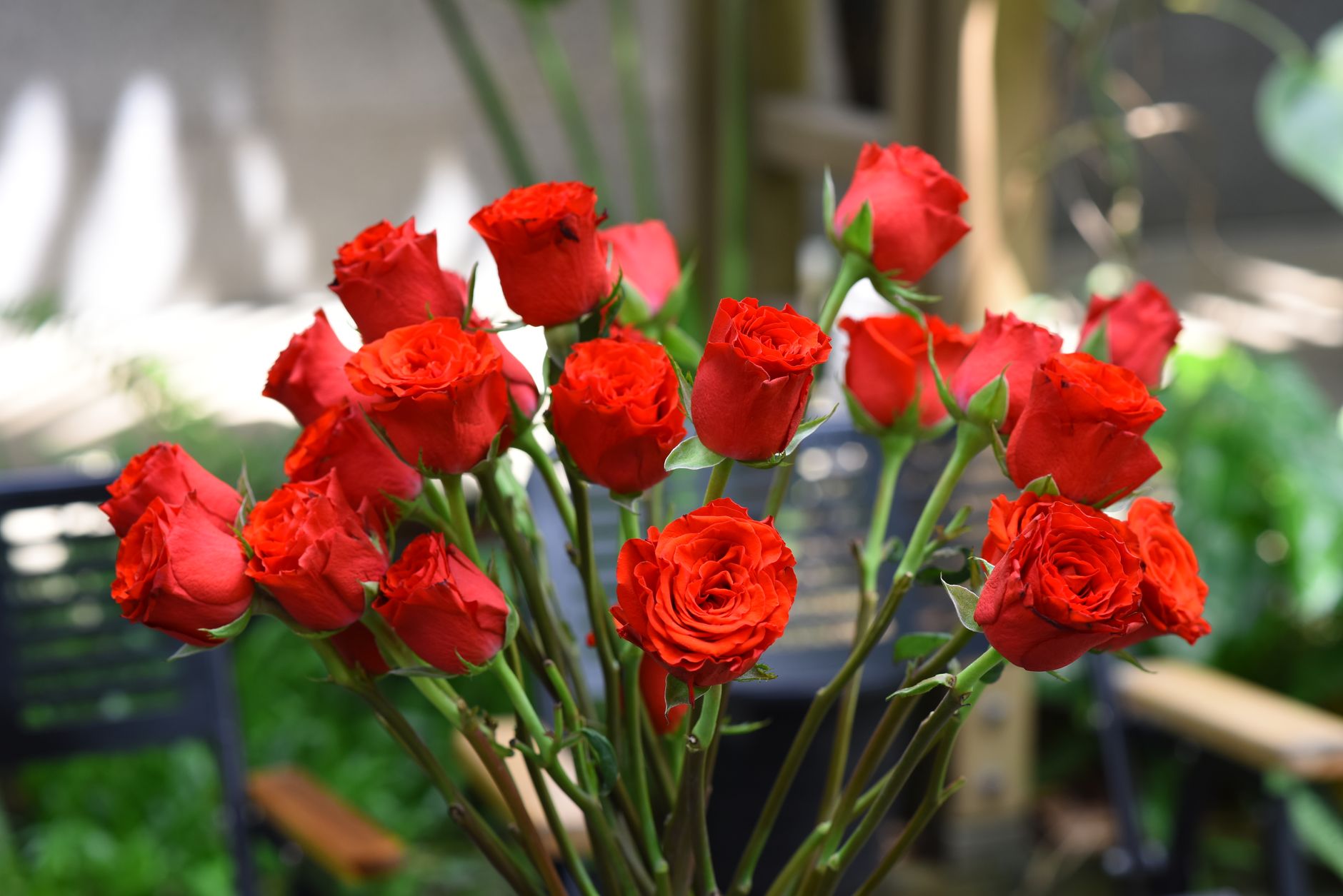 Der Bachelor