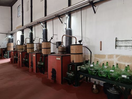 Free Interior view of an artisan distillery in El Puerto de Santa María, Spain. Stock Photo