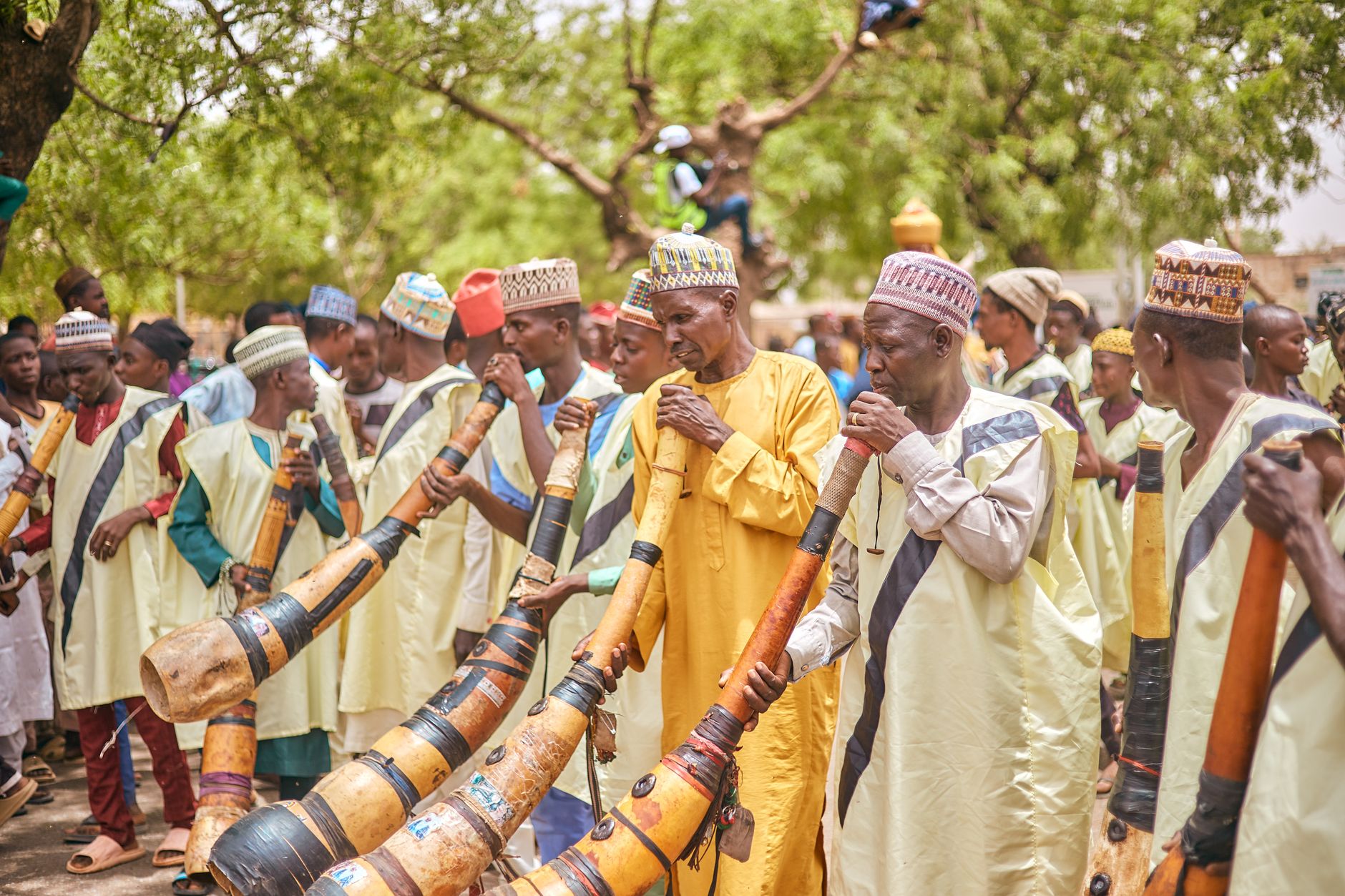 A group of African men playing traditional wind instruments in an outdoor setting, showcasing cultural heritage.
