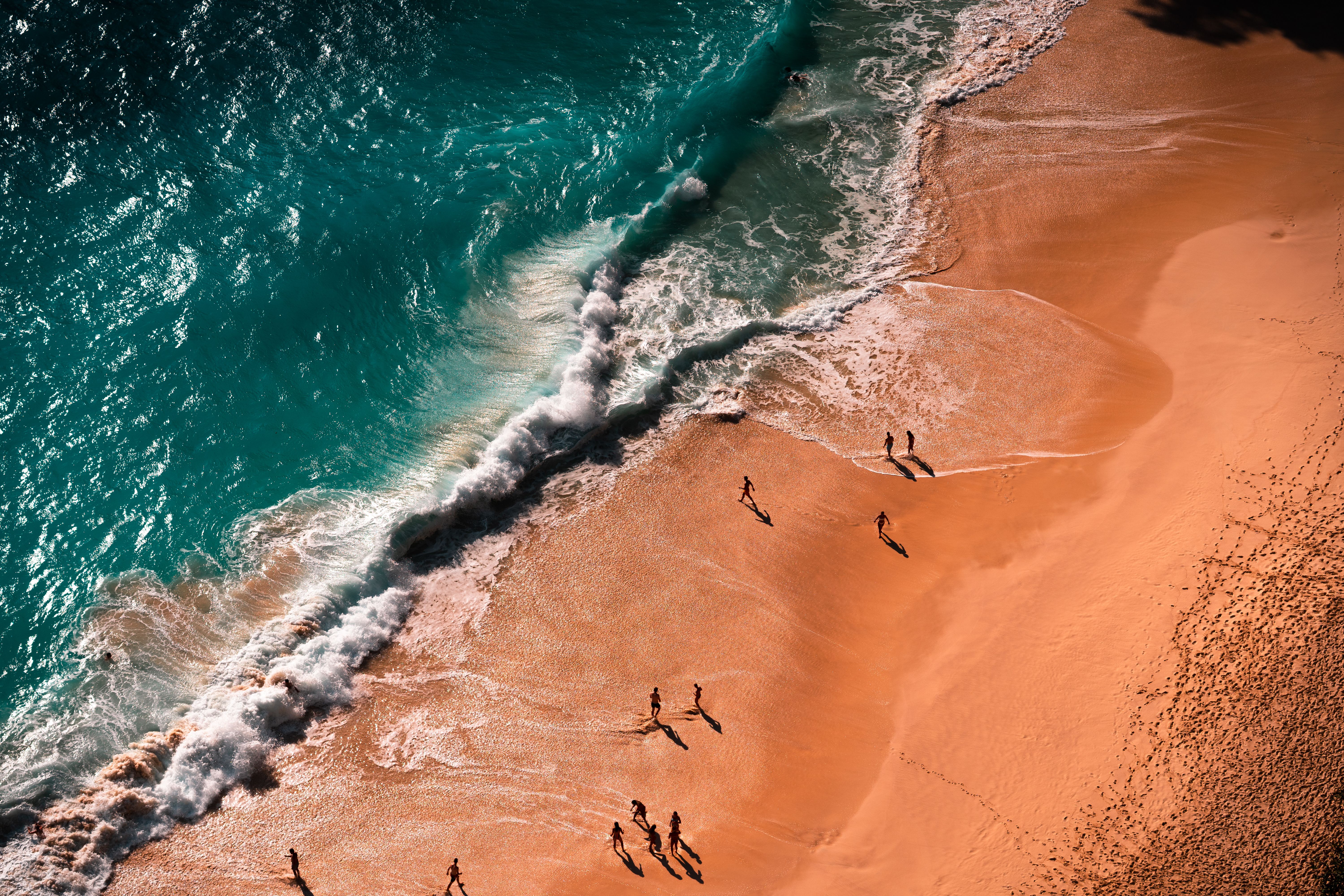 Aerial Photography of People Near Seashore and Green Body of Water
