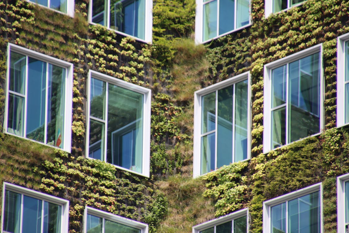 Gratis Immagine gratuita di facciata di edificio, giardino verticale, verde Foto a disposizione