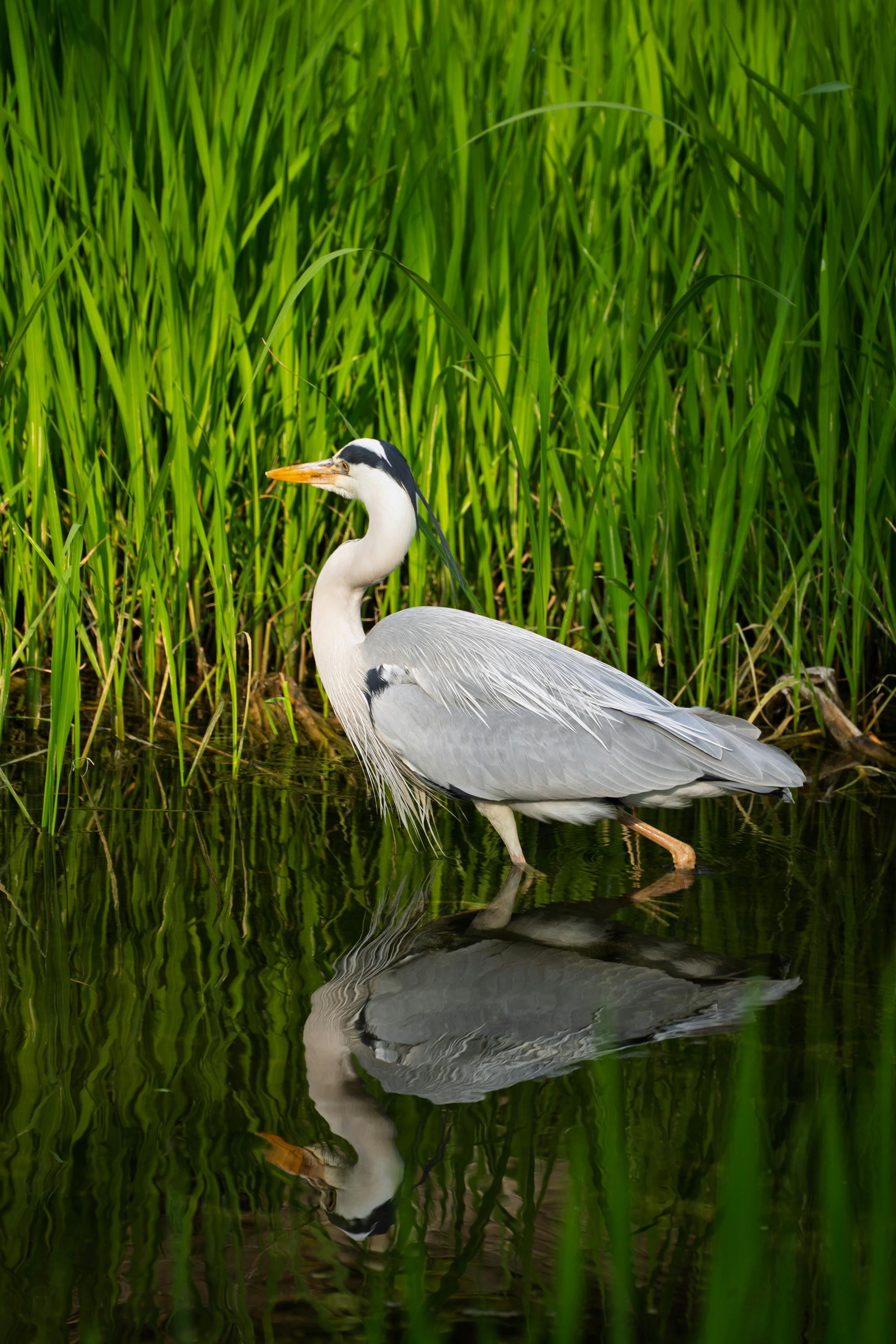 드라이버의 서비스 경험 공유