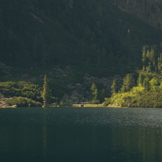 Still mountain lake ringed by evergreen forest — Tomáš Žifčák on Pexels