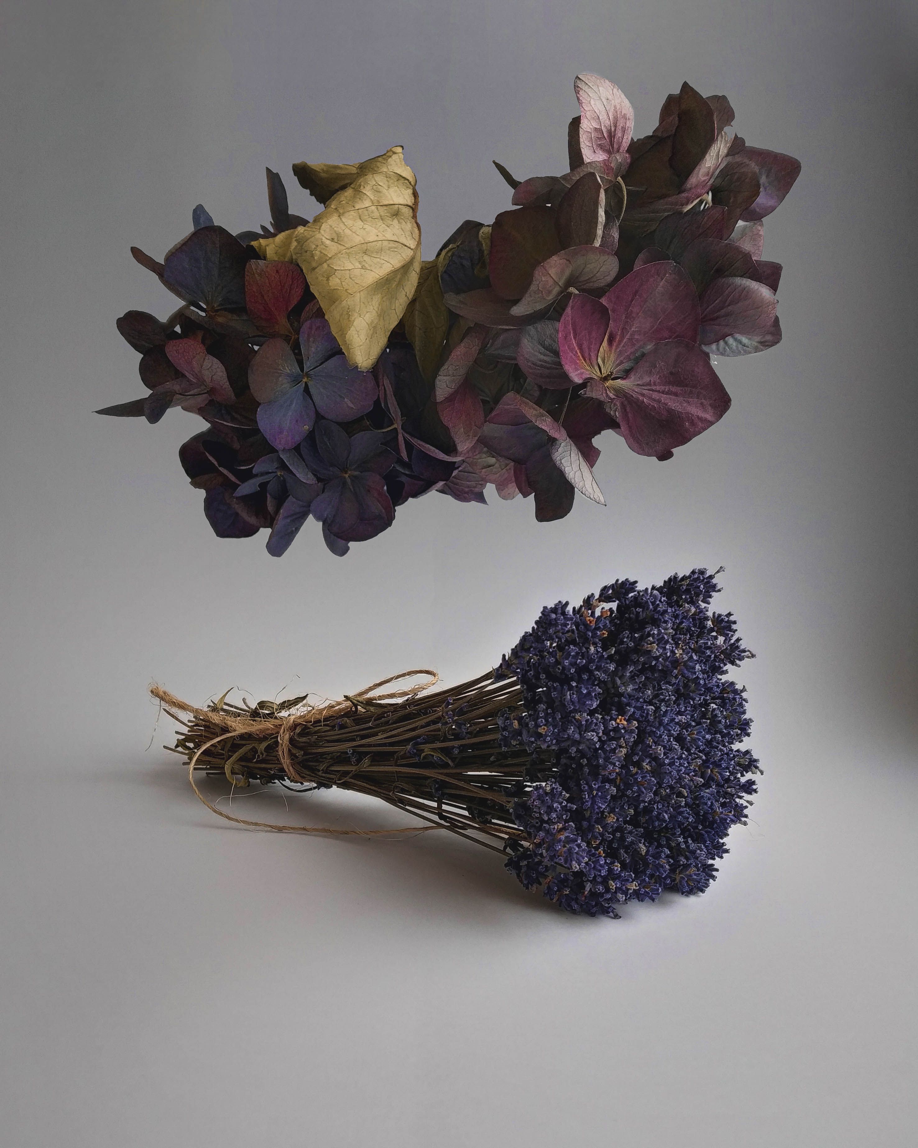 Mastering Dried Flower Preservation: Step-by-Step Techniques to Retain Vibrant Color and Shape for Hydrangeas, Roses, and Lavender