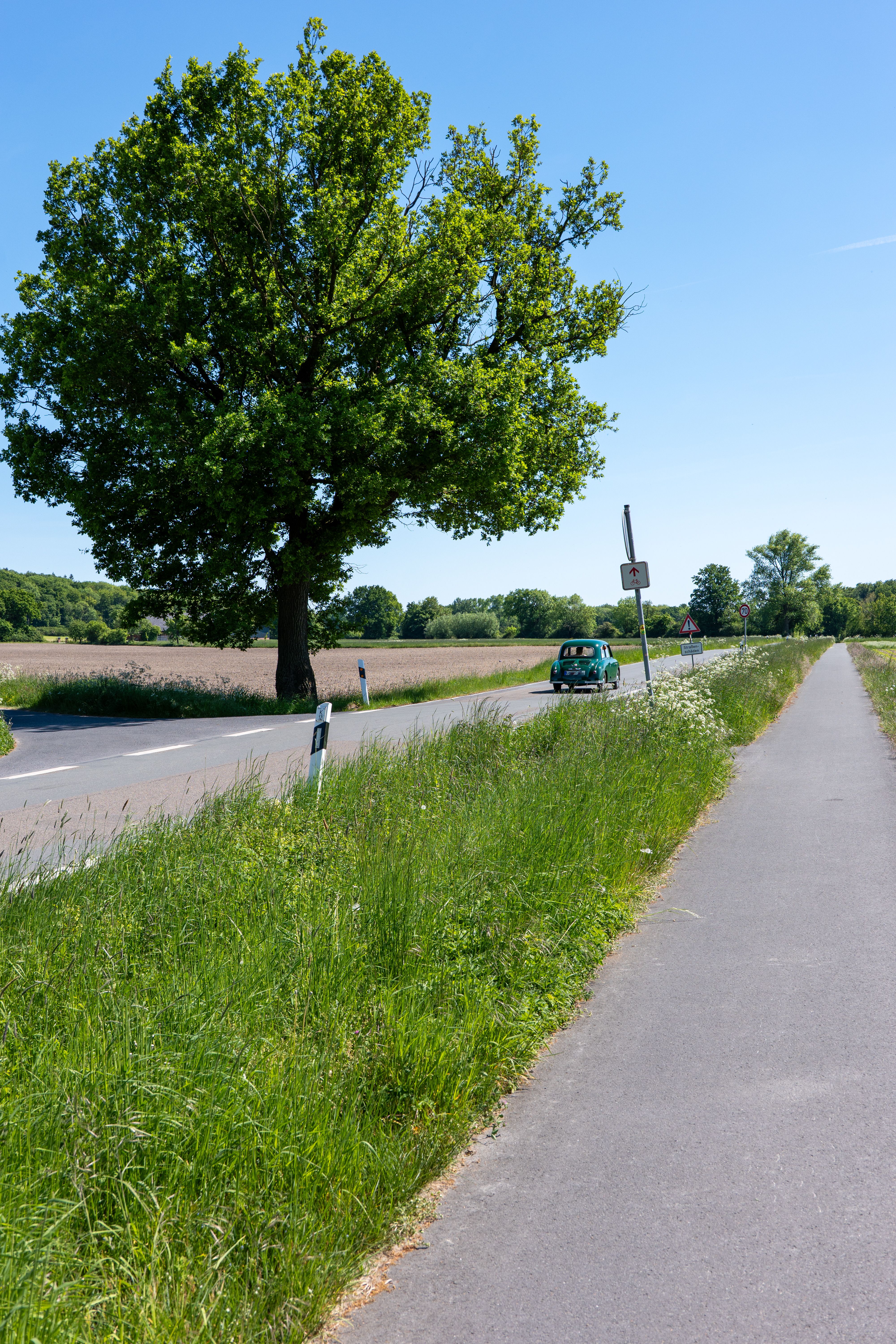 Scenic Country Road with Tree and Clear Sky · Free Stock Photo