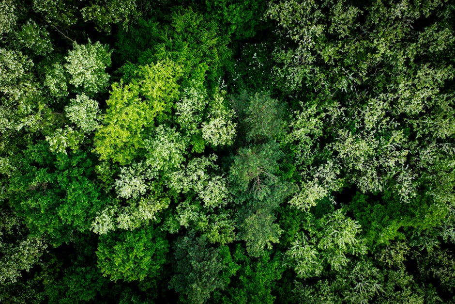 Bijelo Polje, Montenegro - travel photo