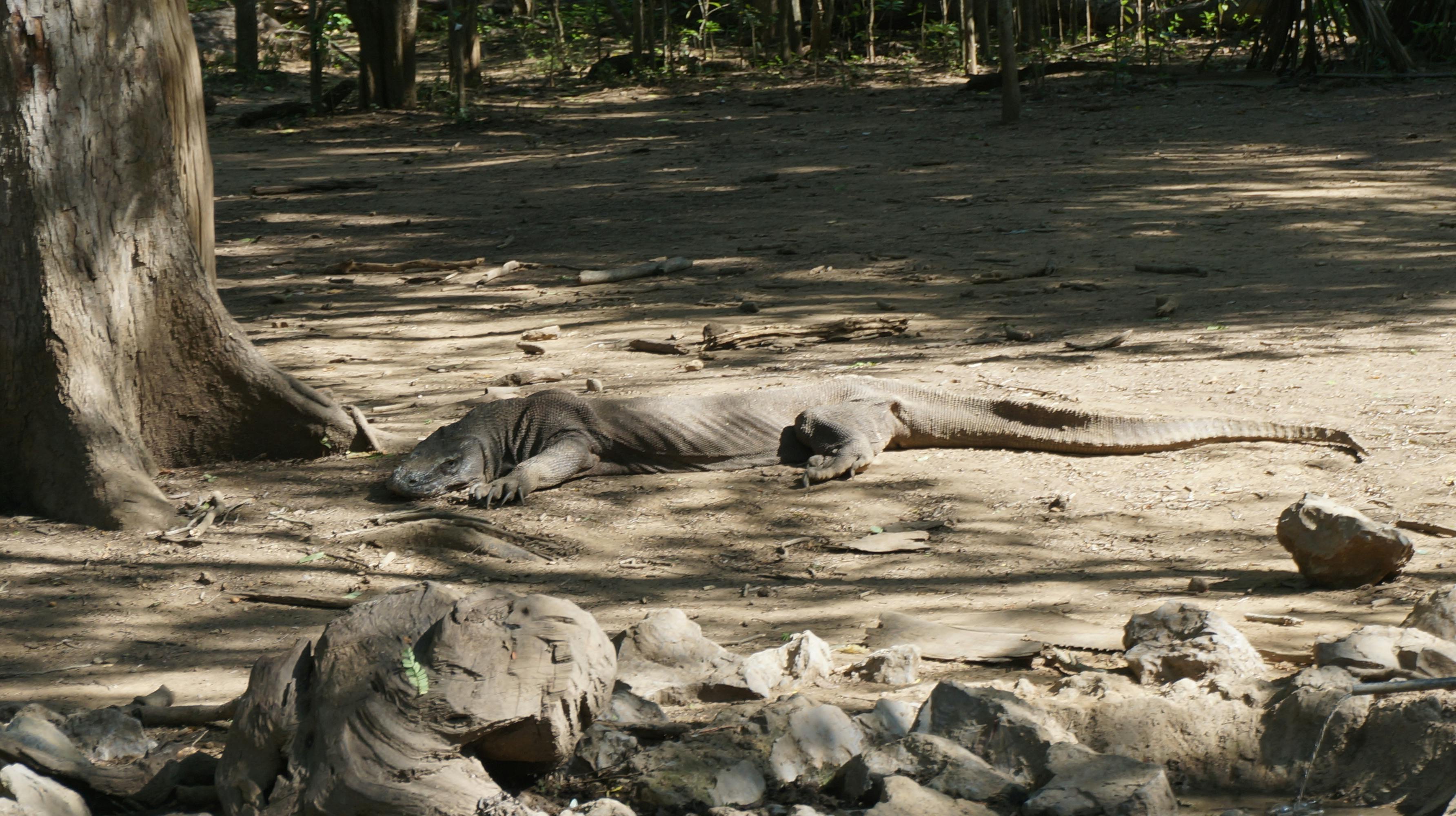Chinese dining table with chopsticks and shared dishes