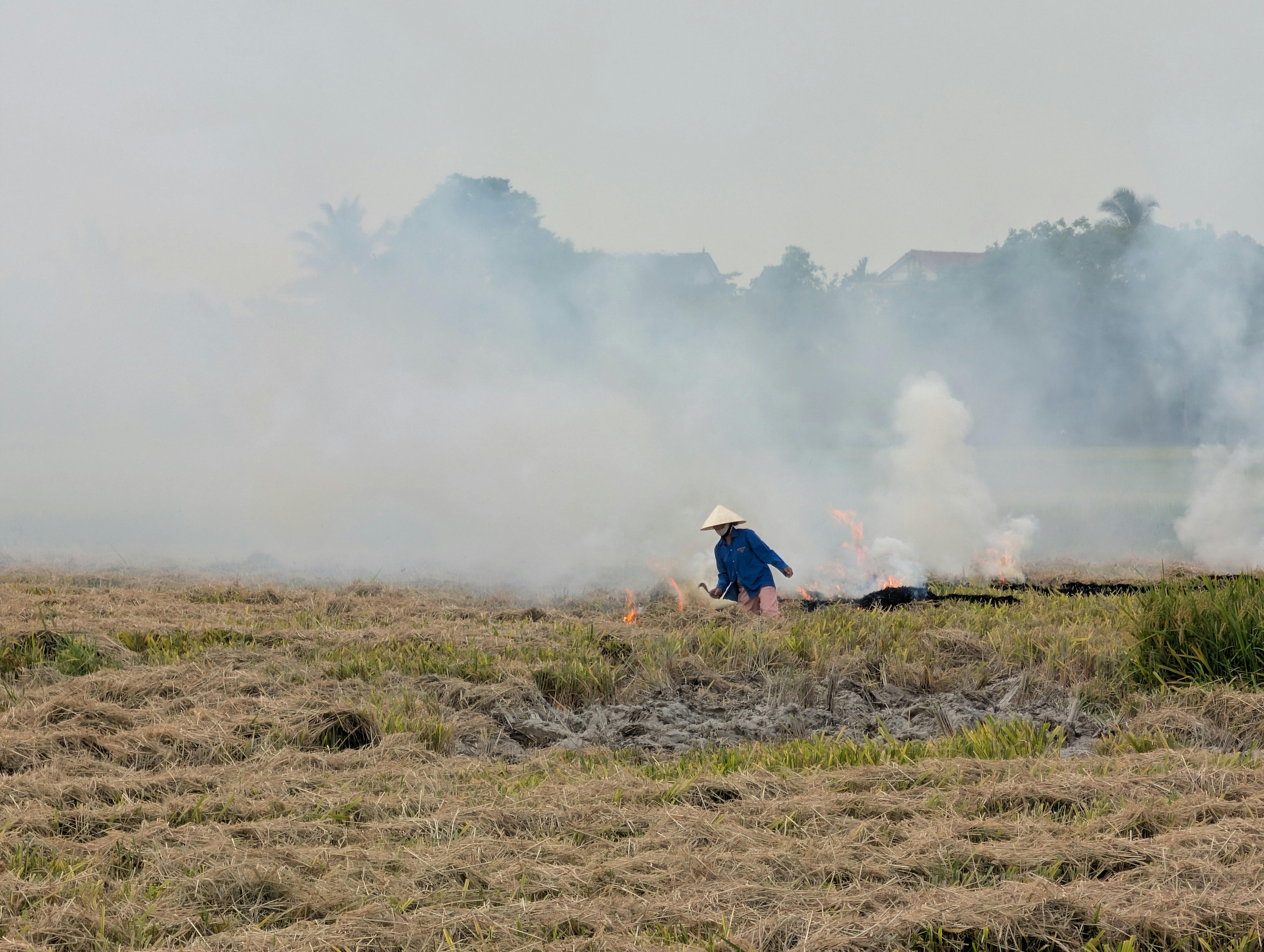 A farmer works on burning crop residue in a rice field surrounded by smoke.