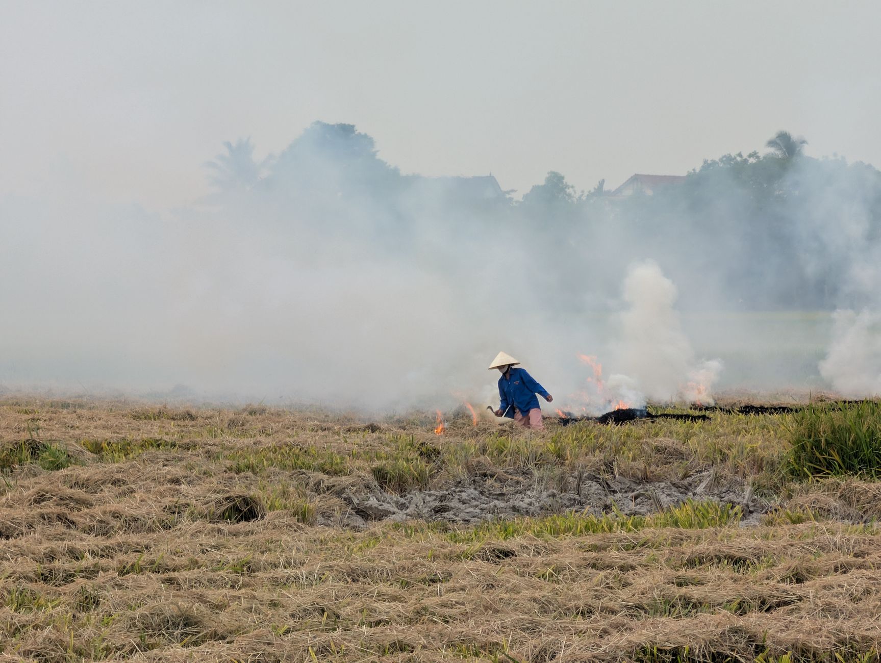 A farmer works on burning crop residue in a rice field surrounded by smoke.