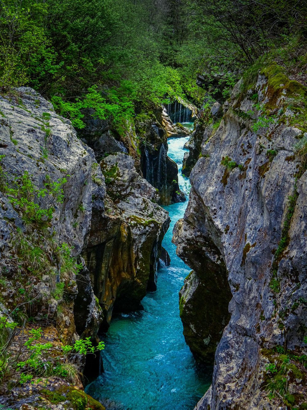 Cheile râului Soča, cu apă turcoaz între pereți de piatră