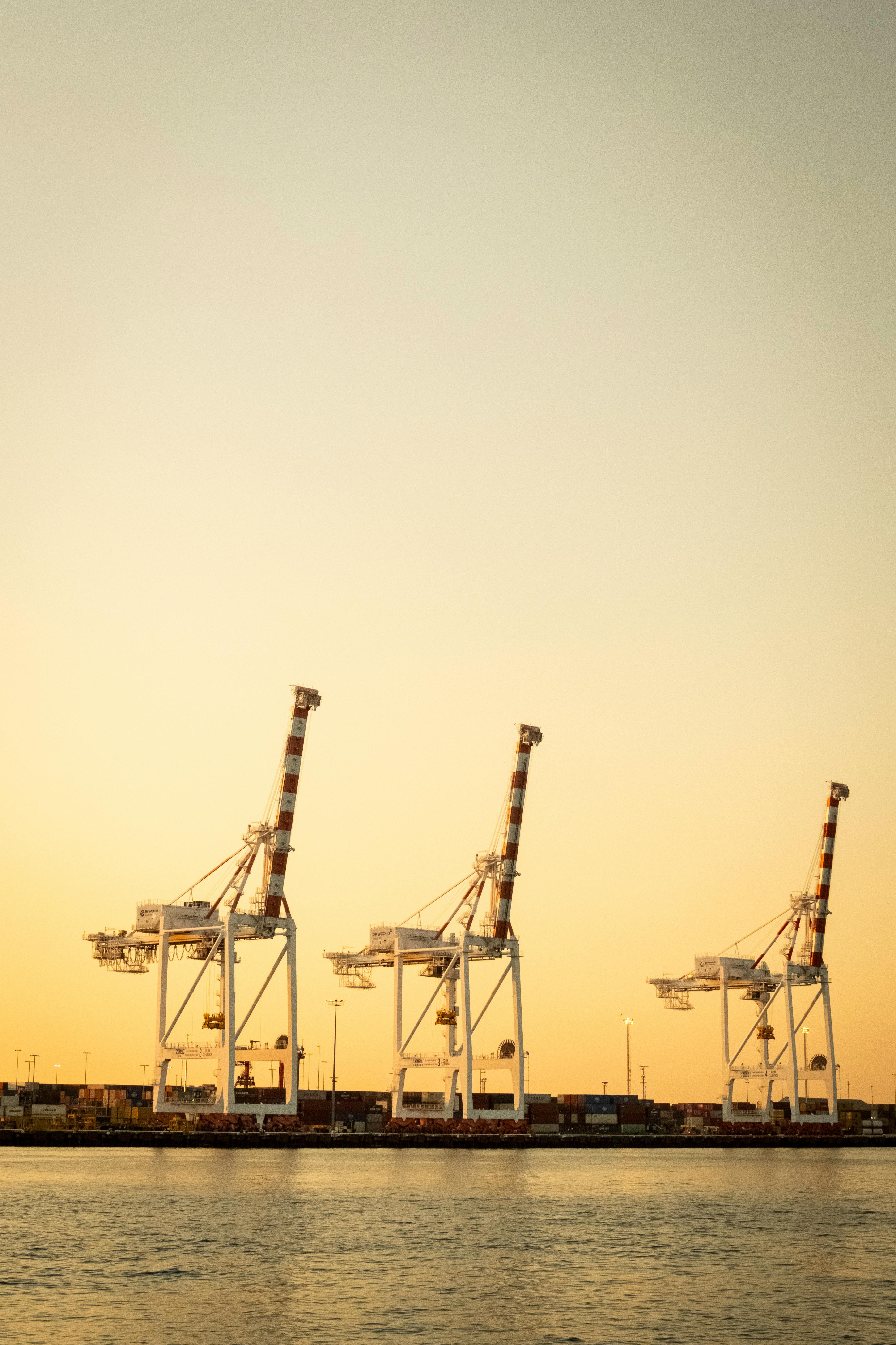 Big+Areolas Photos, Download The BEST Free Big+Areolas Stock Photos