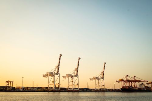 Free Cranes at Fremantle Port creating a striking silhouette against a warm sunset sky. Stock Photo
