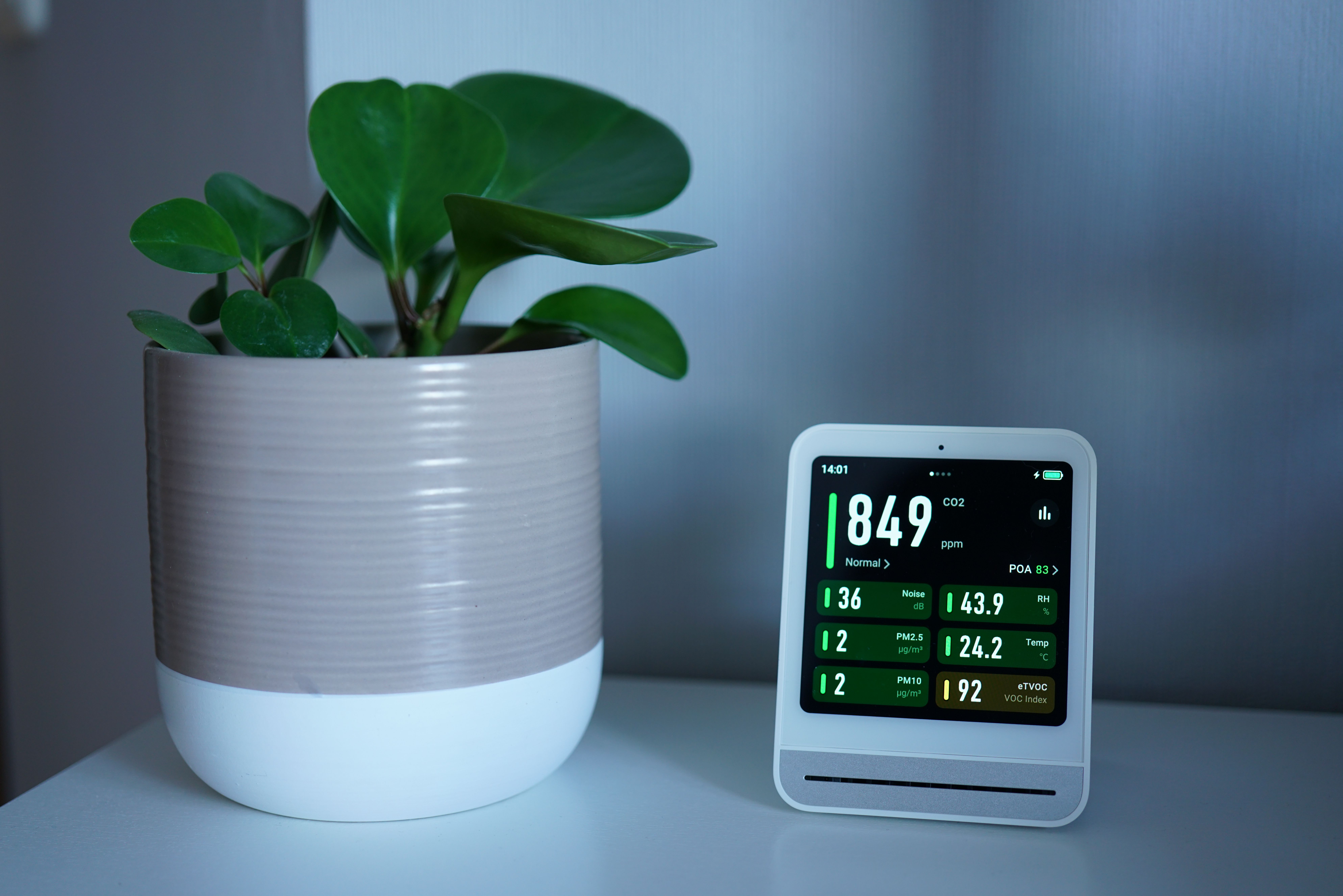Smart home essentials in 2026 — what to buy first, what to skip