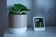 Indoor Plant and Air Quality Monitor on Table
