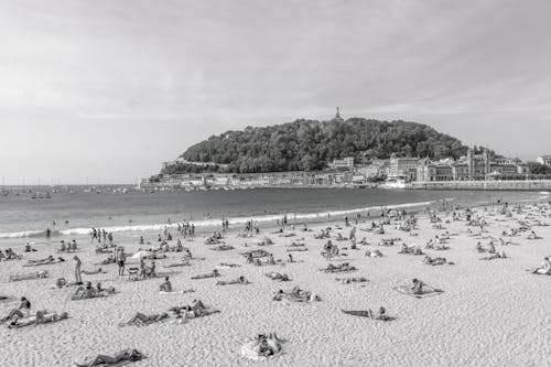 Free stock photo of beach, black, white