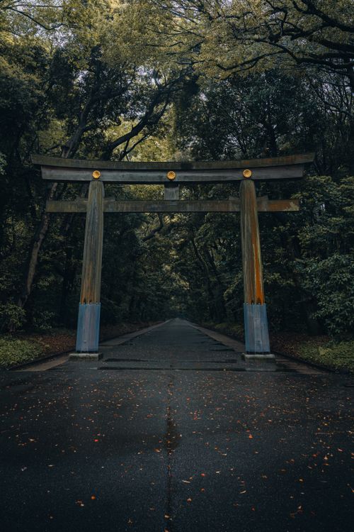 Free Peaceful path through lush forest featuring a traditional Japanese Torii gate. Stock Photo