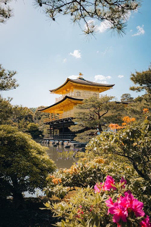 Free Stunning view of the Golden Pavilion in Japan, nestled among vibrant spring flora under a clear sky. Stock Photo