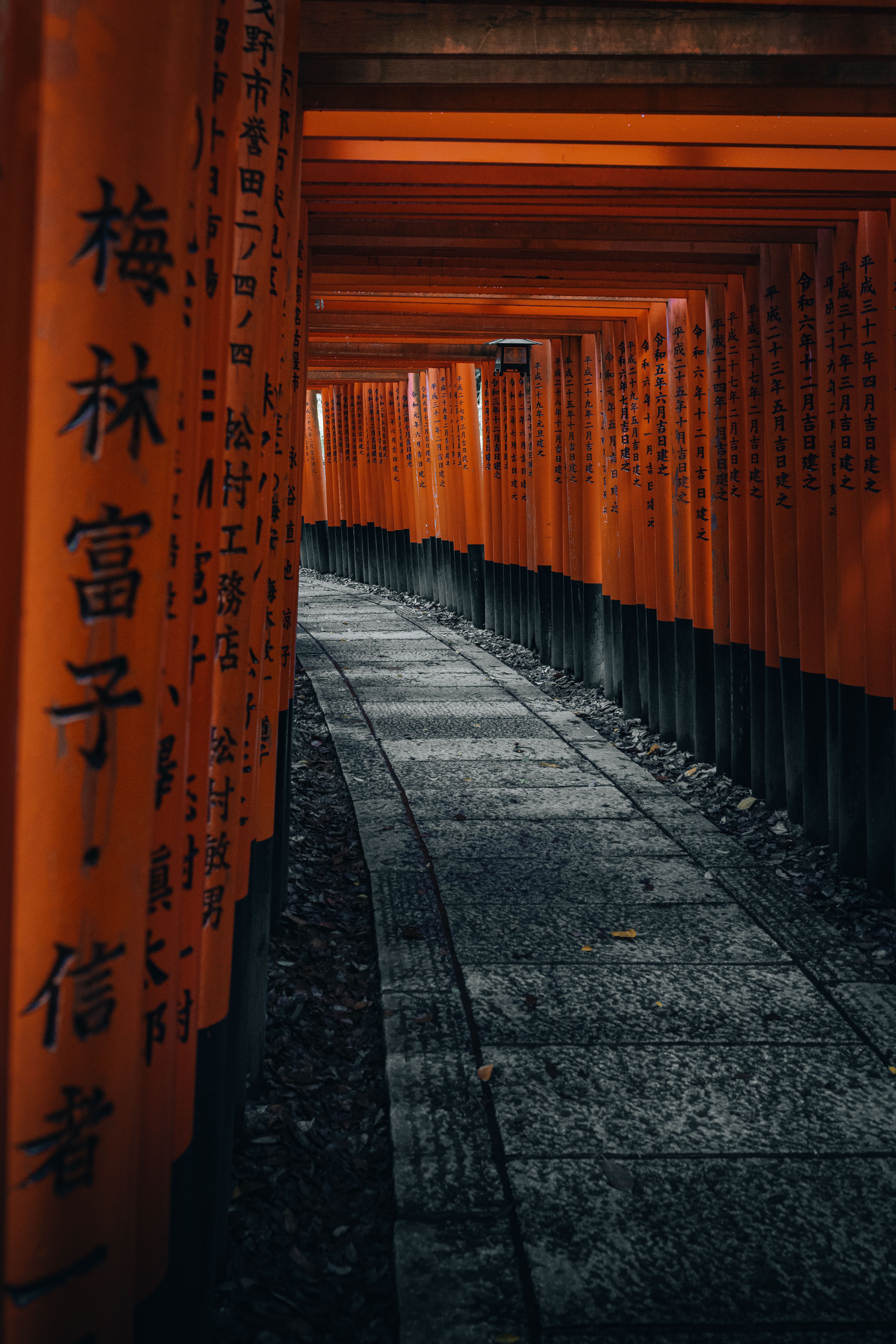 Pathway through Fushimi Inari Taisha Torii Gates · Free Stock Photo