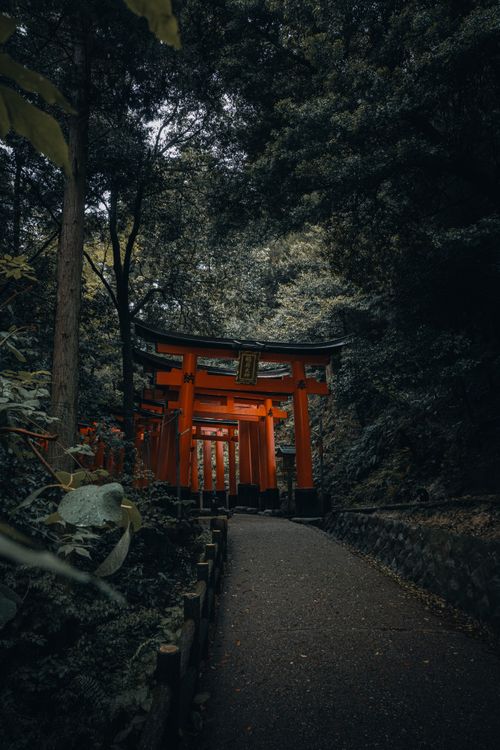 Free Path through red torii gates at Fushimi Inari Shrine, Kyoto, Japan. Peaceful forest setting. Stock Photo