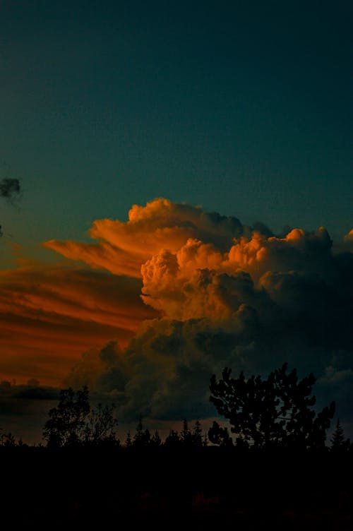 剪影, 垂直拍攝, 多雲的天空 的 免費圖庫相片