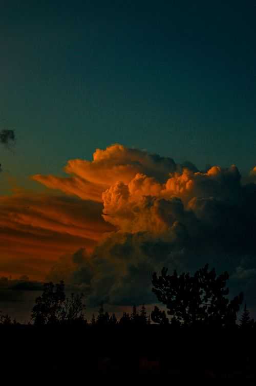 Free A dramatic sunset with vibrant clouds and silhouetted trees creating a captivating nature scene. Stock Photo