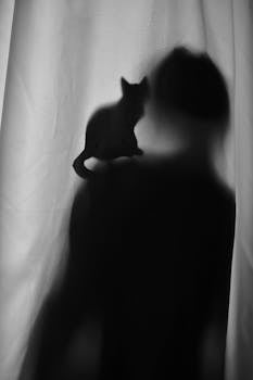 Creative shadow silhouette of a person with a cat on the shoulder, captured in black and white.