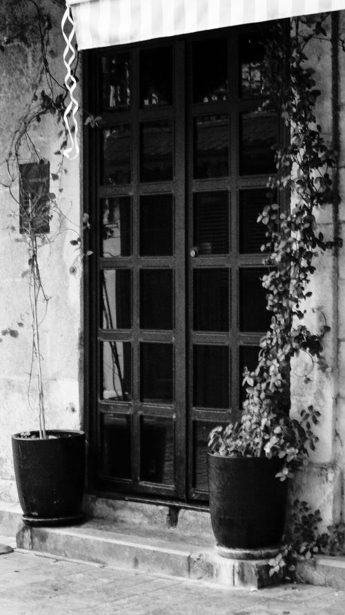 Free Black and white photo of a rustic doorway with potted plants and ivy vines. Stock Photo
